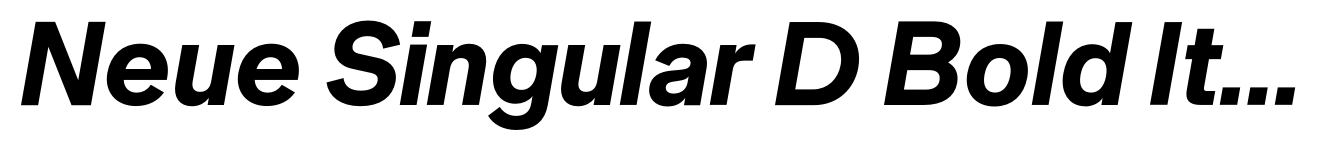 Neue Singular D Bold Italic